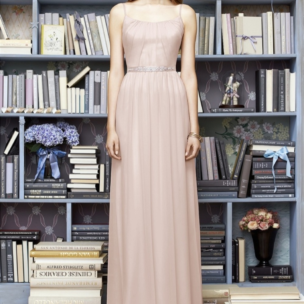 Lela Rose Blush Pink Gown with think embellished belt NWT size 2